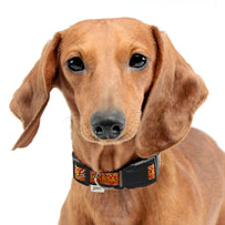 Kansas City Chiefs Zubaz Collar