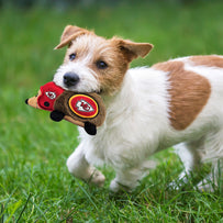 KANSAS CITY CHIEFS PLUSH HEDGEHOG TOY