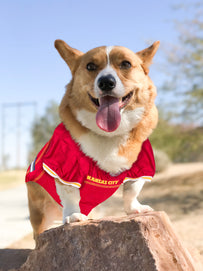 Kansas City Chiefs Mesh Pet Jersey