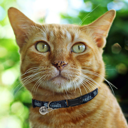 Seattle Kraken Cat Collar