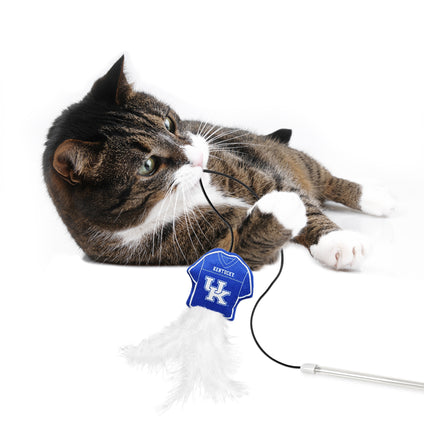 KENTUCKY WILDCATS TEAM JERSEY WAND WITH CAT NIP