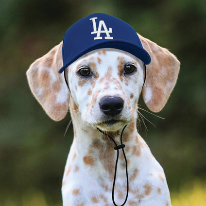 Los Angeles Dodgers Pet Caps