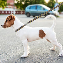 Los Angeles FC Satin Ribbon Leash