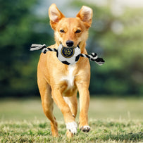 LA Galaxy Soccer Ball Rope Toy