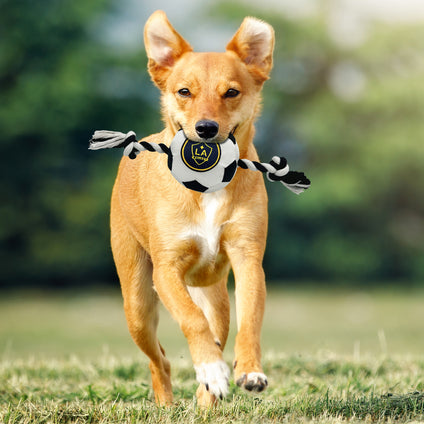 LA Galaxy Soccer Ball Rope Toy