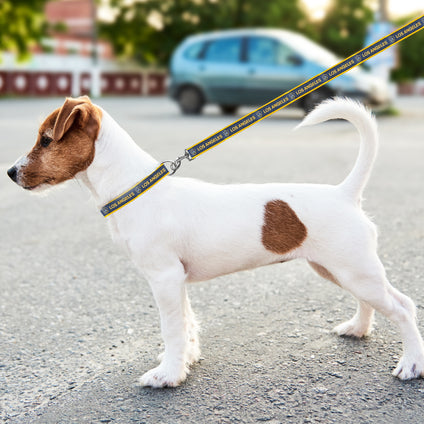 LA Galaxy Satin Ribbon Leash