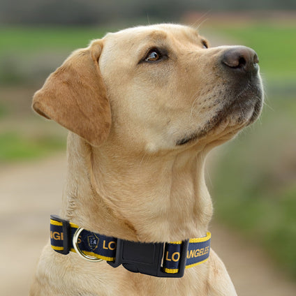 LA Galaxy Satin Collar