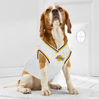 LA Lakers Basketball Road Jersey