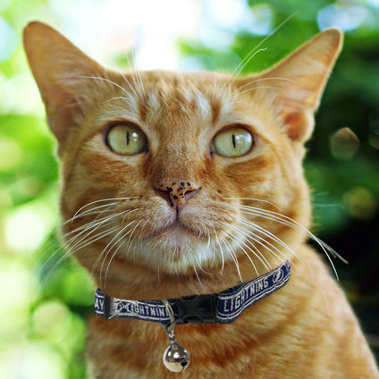 Tampa Bay Lightning Cat Collar
