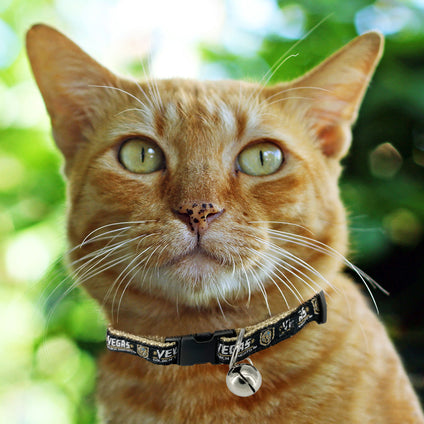 Las Vegas Knights Cat Collar