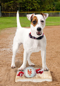 New York Mets Nylon Baseball Rope Toy