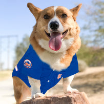 New York Mets Pet Jersey