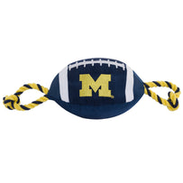 Michigan Nylon Football