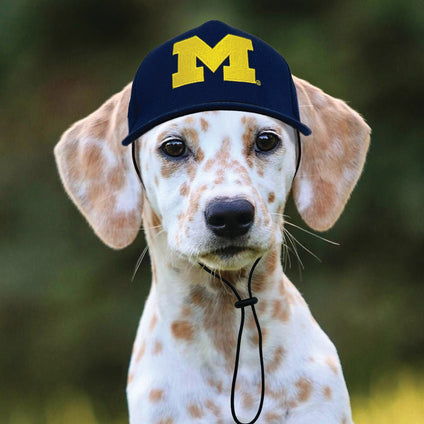 Michigan Pet Caps