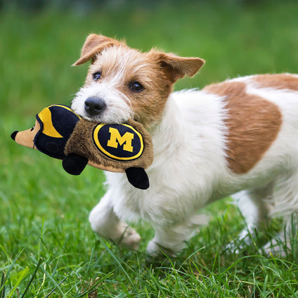 MICHIGAN PLUSH HEDGEHOG TOY