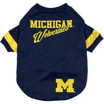 Michigan Stripe Tee