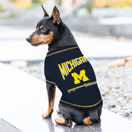 Michigan Woverines City Text Tee Shirt