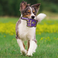 Minnesota Vikings #1 Fan Toy