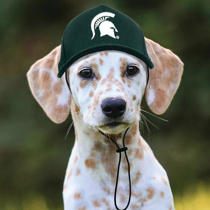 Michigan State  Pet Caps