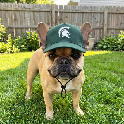 Michigan State  Pet Caps