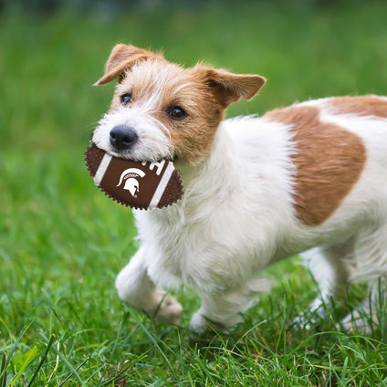 MICHIGAN STATE HARD NYLON FOOTBALL CHEW TOY