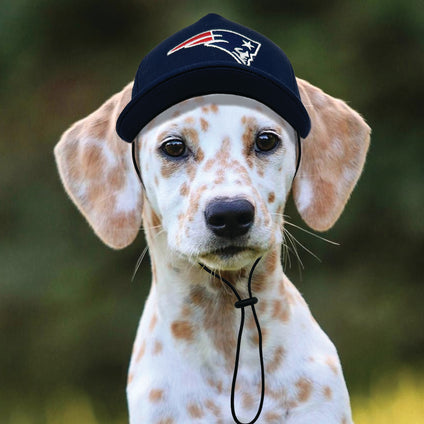 New England Patriots Pet Caps