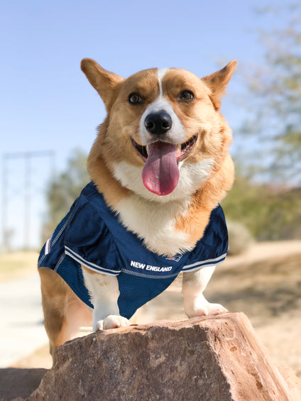 New England Patriots Mesh Pet Jersey