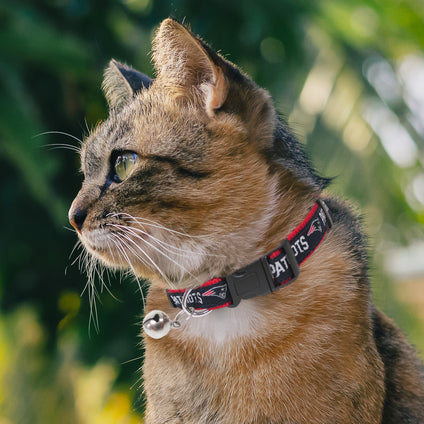 New England Patriots Cat Collar