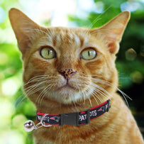 New England Patriots Cat Collar