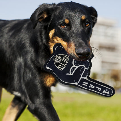 Brooklyn Nets #1 Fan Toy