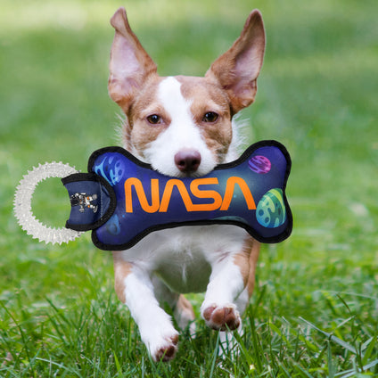 NASA Dental Ring Toy