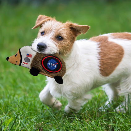 NASA PLUSH HEDGEHOG TOY