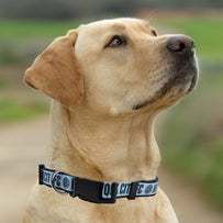 New York City FC Satin Collar