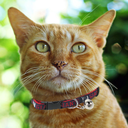 New York Giants Cat Collar