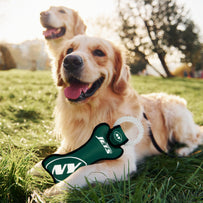 New York Jets Dental Ring Toy