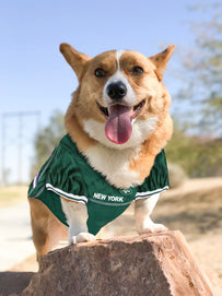 New York Jets Raglan Pet Jersey