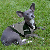 New York Jets Hoodie Tee Shirt