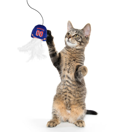 NEW YORK RANGERS TEAM JERSEY WAND WITH CAT NIP