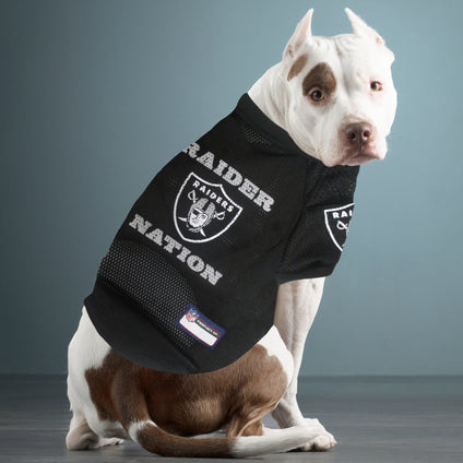 Raiders Raglan Jersey