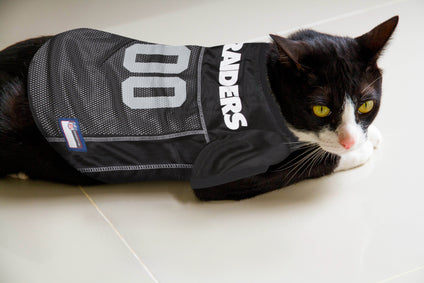 Raiders Pet Mesh Jersey
