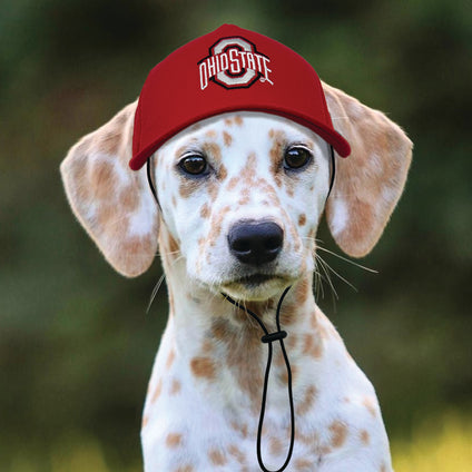 Ohio State  Pet Caps