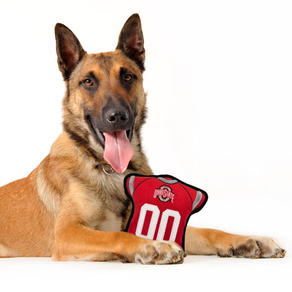 OHIO STATE JERSEY TOUGH TOY