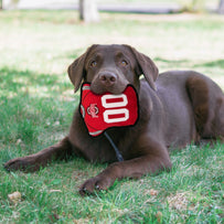 OHIO STATE JERSEY TOUGH TOY