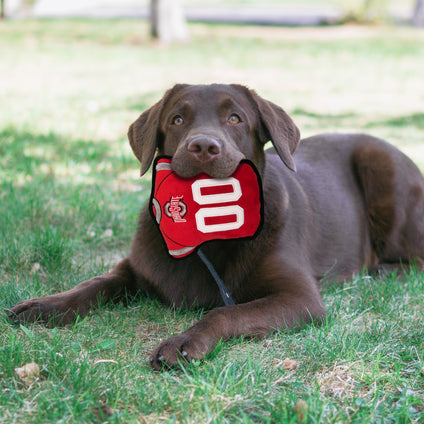 OHIO STATE JERSEY TOUGH TOY