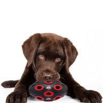 Ohio State Treat Dispenser Toy