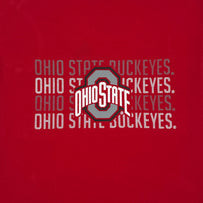 Ohio State Buckeyes Stripe Text Tee Shirt