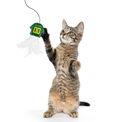OREGON DUCKS TEAM JERSEY WAND WITH CAT NIP