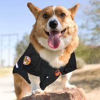 Baltimore Orioles Pet Jersey