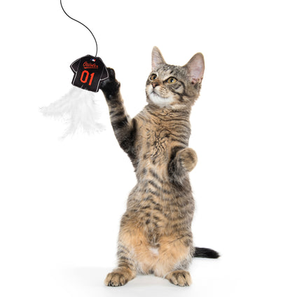 BALTIMORE ORIOLES TEAM JERSEY WAND WITH CAT NIP