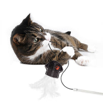 BALTIMORE ORIOLES TEAM JERSEY WAND WITH CAT NIP